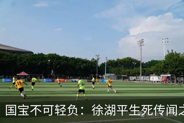 国宝不可轻负：徐湖平生死传闻之外，更要看见文博治理的漏洞