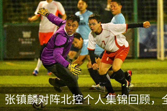 张镇麟对阵北控个人集锦回顾，全场得到28分4助攻
