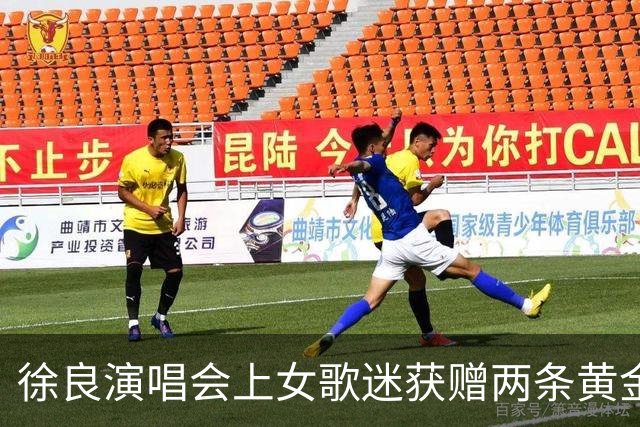 徐良演唱会上女歌迷获赠两条黄金小象项链，总重4.83克价值约6000元，当事人：第一次收到良哥的礼物，惊喜又幸运