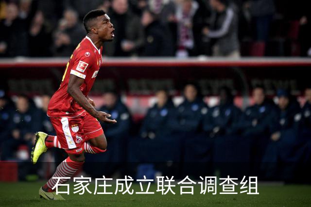 石家庄成立联合调查组