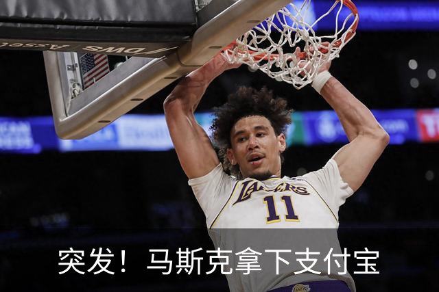 突发！马斯克拿下支付宝