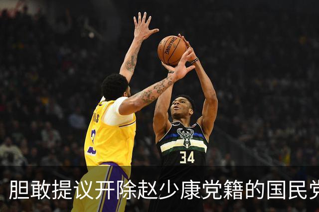 胆敢提议开除赵少康党籍的国民党中央委员江永雄是什么来头？