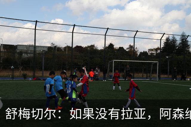 舒梅切尔：如果没有拉亚，阿森纳绝对不可能接近英超冠军