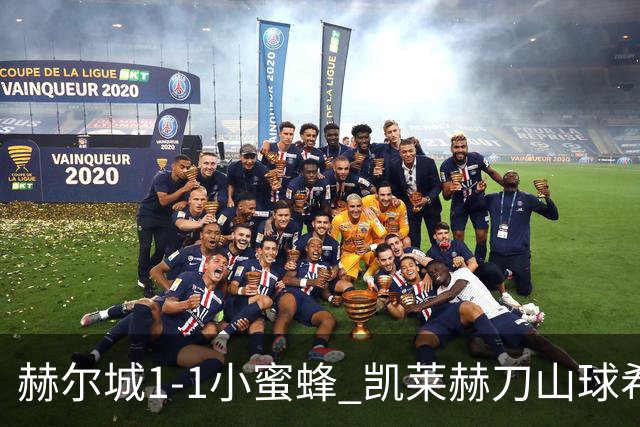赫尔城1-1小蜜蜂 凯莱赫刀山球希基送点 麦克伯尼点射瓦塔拉扳平
