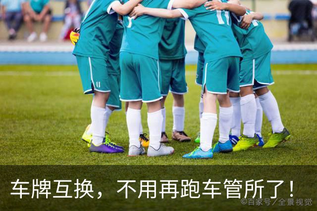 车牌互换，不用再跑车管所了！